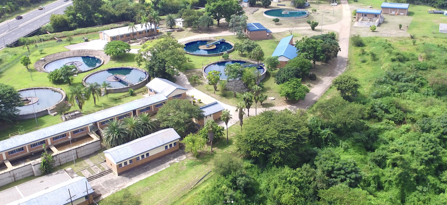 Overhead of Silulumanzi Water Authority